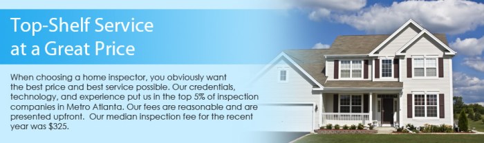 Thermal insulation imaging inspections inspection tools cotta detection infrared homeowners